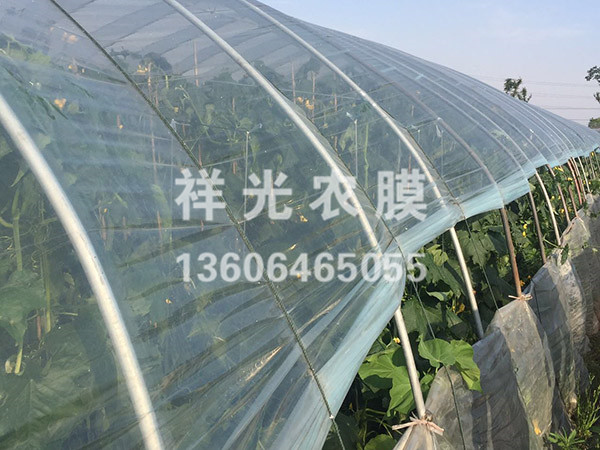 PE塑料薄膜的防霧化